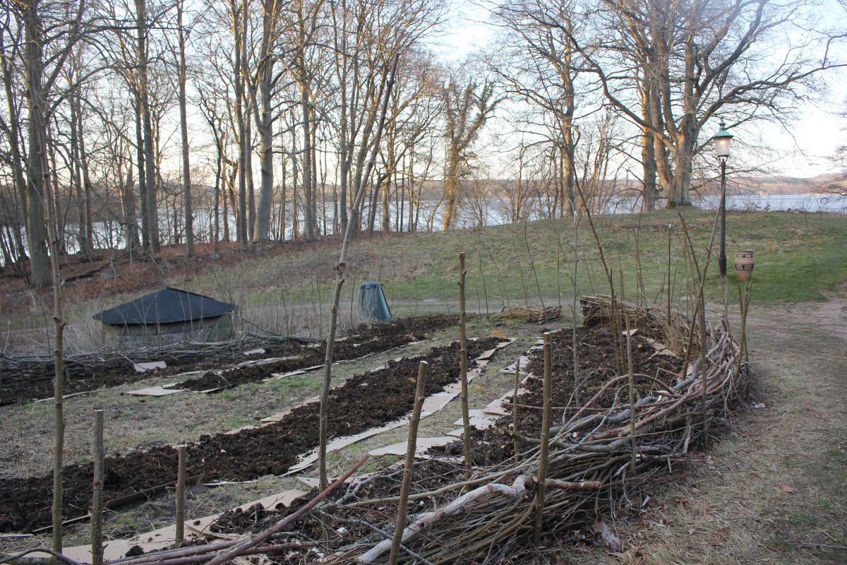 SKOVHAVE WORKSHOP