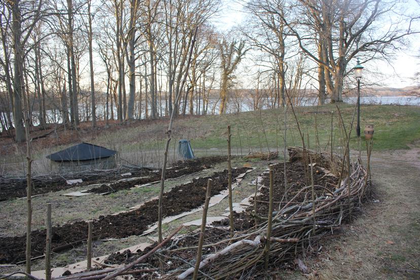 Billede fra SKOVHAVE WORKSHOP