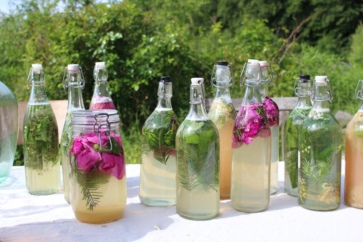 WILD FERMENTS