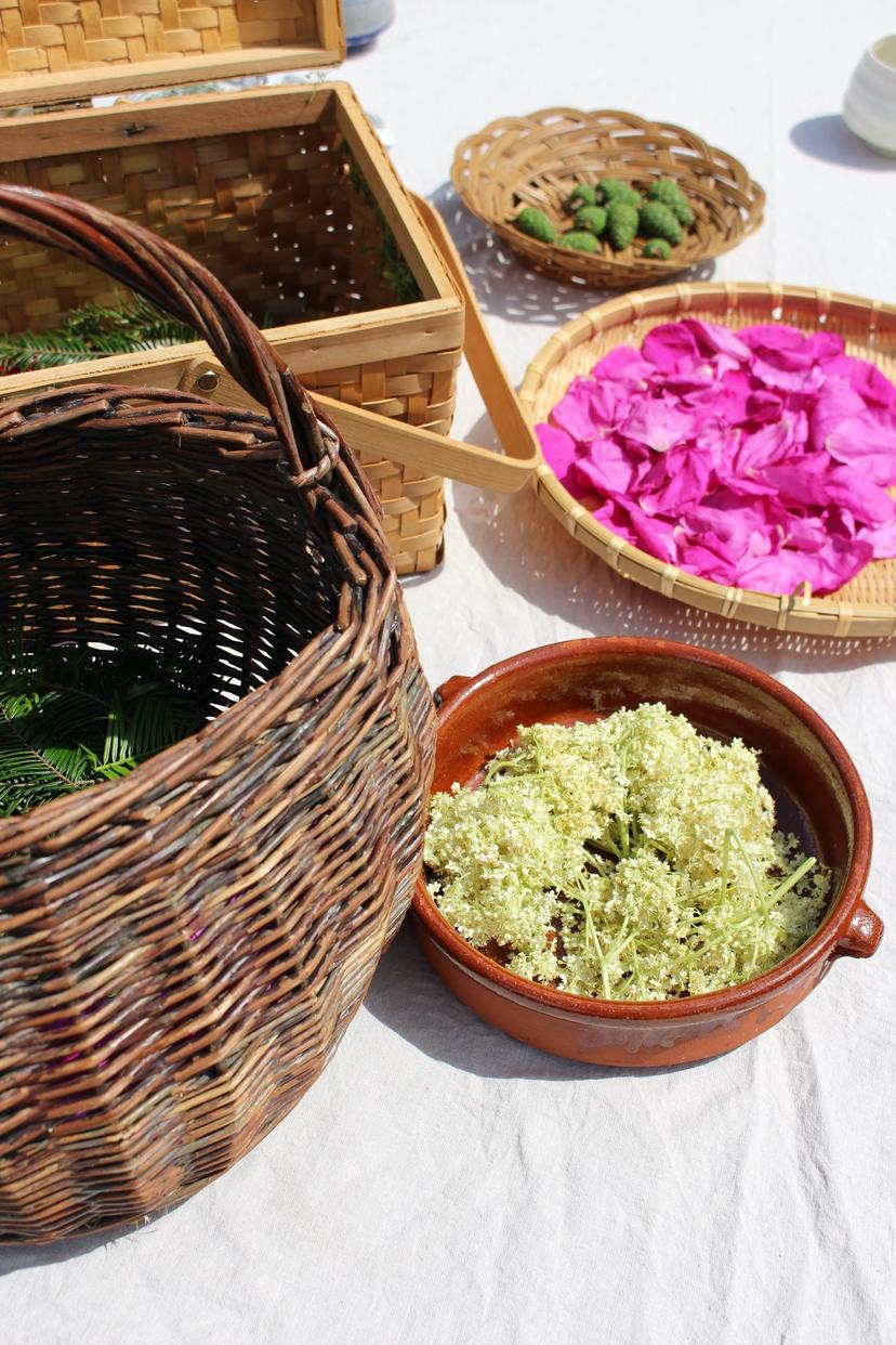 Billede fra WILD FERMENTS