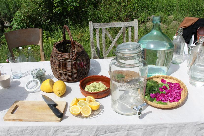 Billede fra WILD FERMENTS
