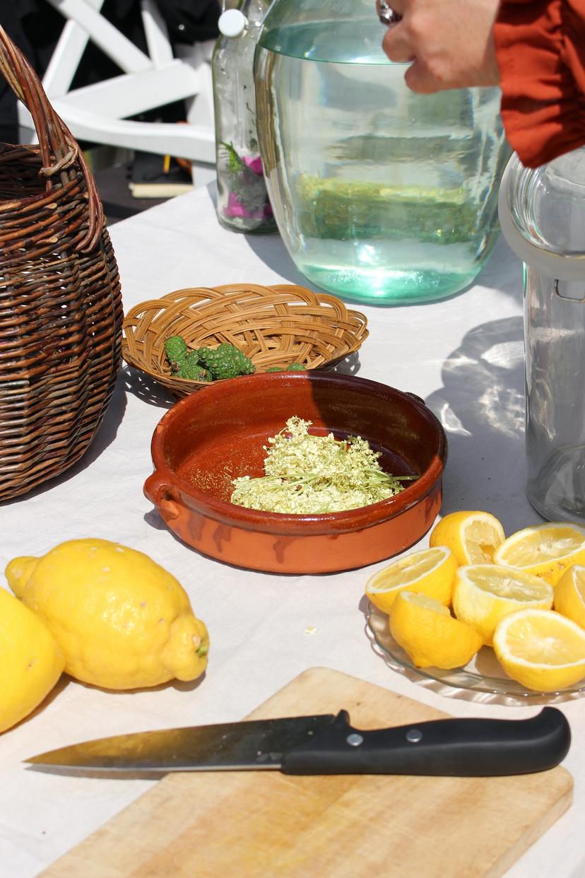 Billede fra WILD FERMENTS
