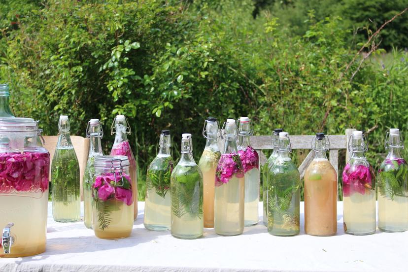 Billede fra WILD FERMENTS