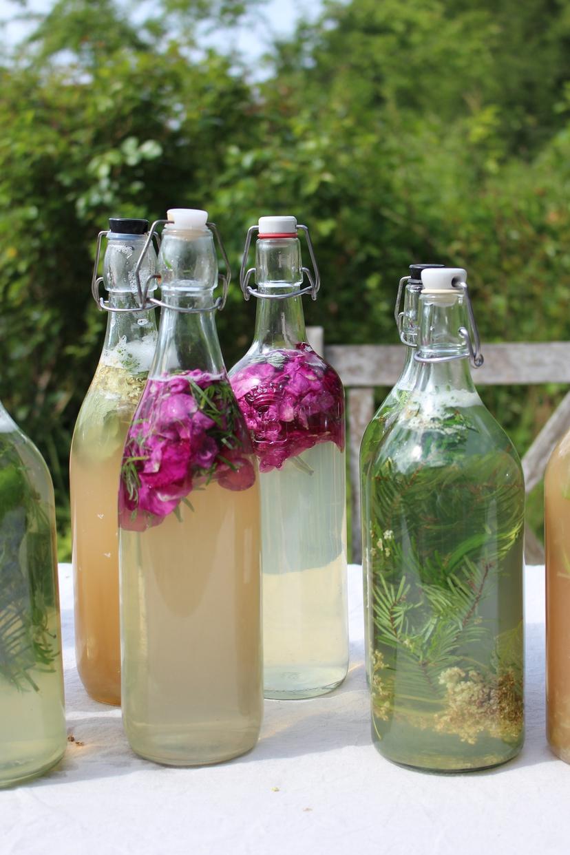 Billede fra WILD FERMENTS