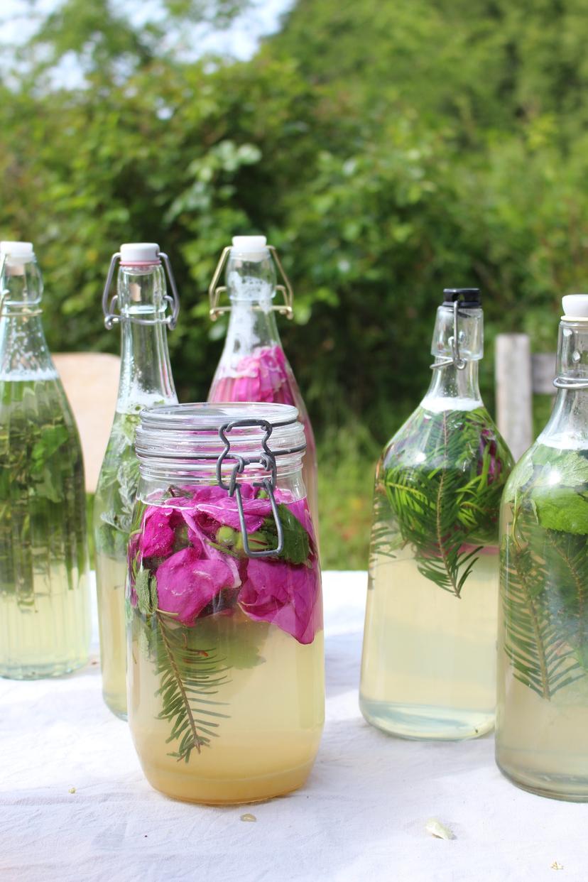 Billede fra WILD FERMENTS
