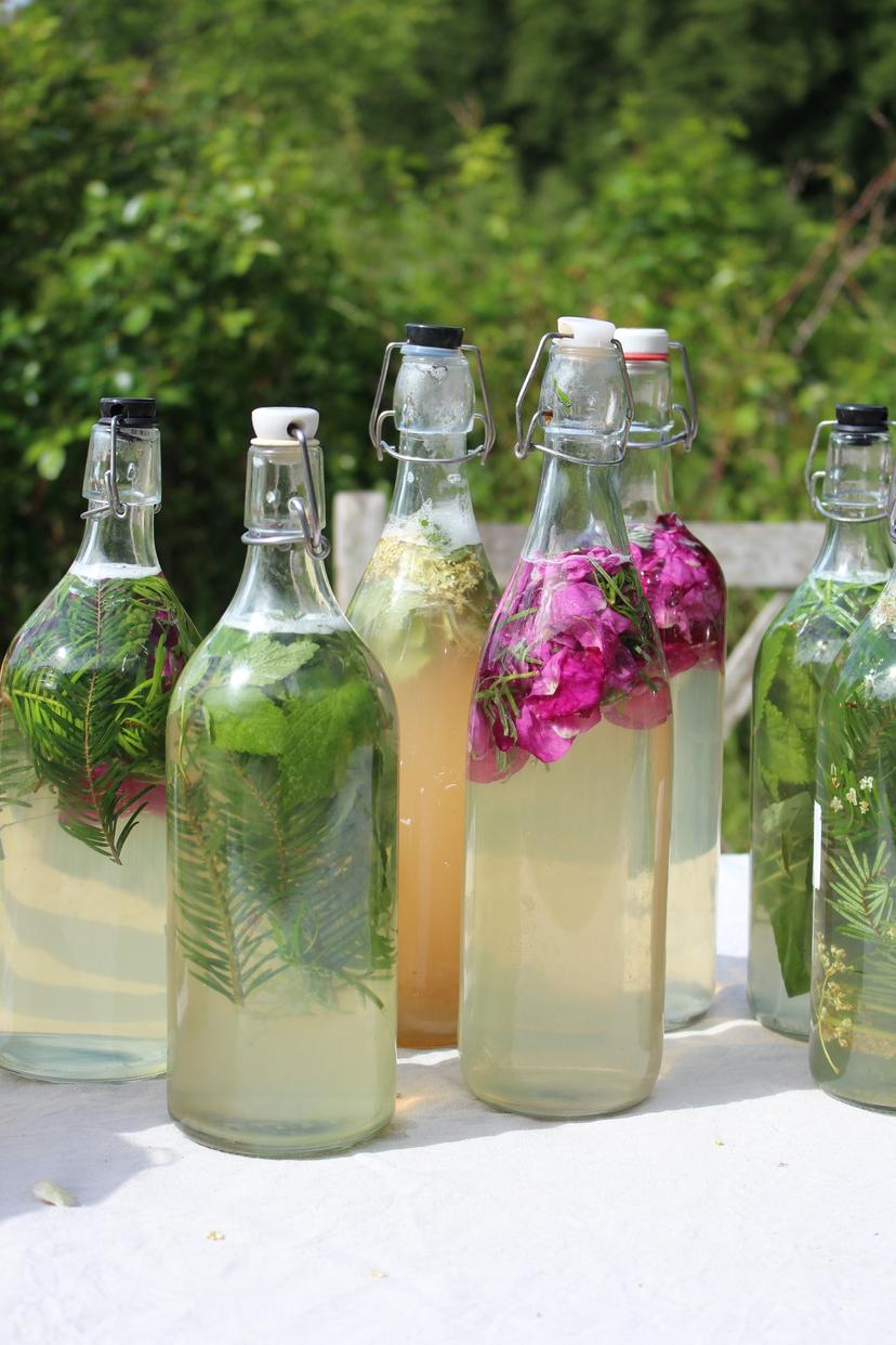 Billede fra WILD FERMENTS