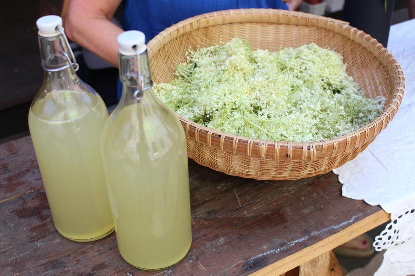 Billede fra VILD FERMENTERING / GRØNNE BØNNER