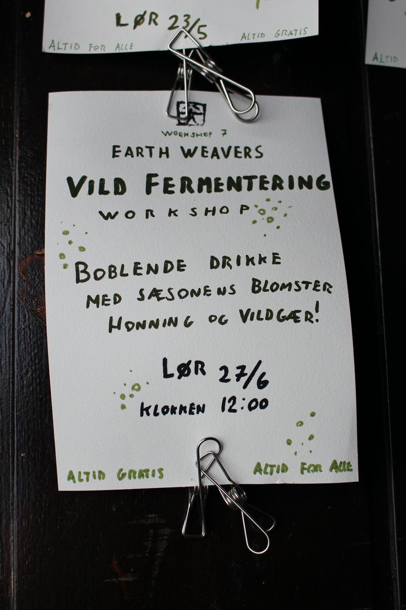 Billede fra VILD FERMENTERING / GRØNNE BØNNER