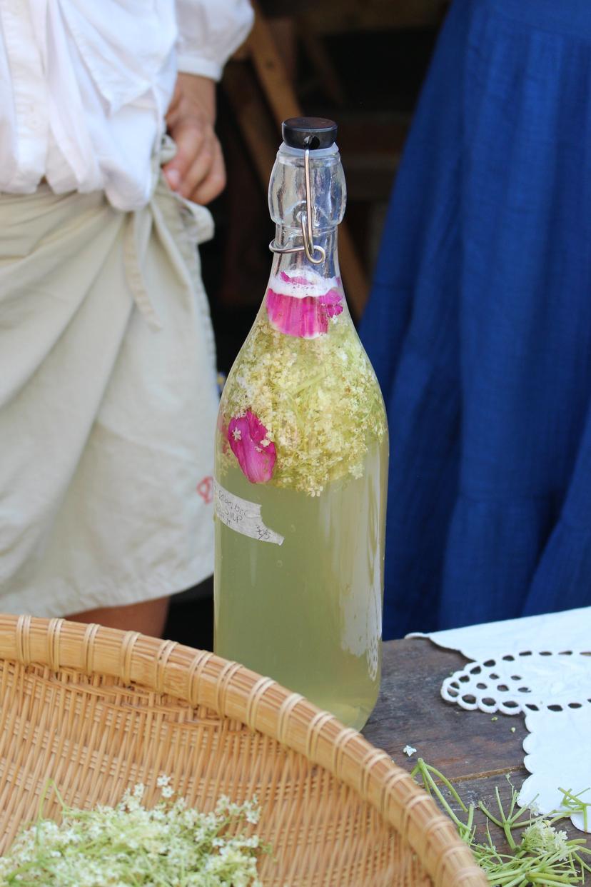 Billede fra VILD FERMENTERING / GRØNNE BØNNER