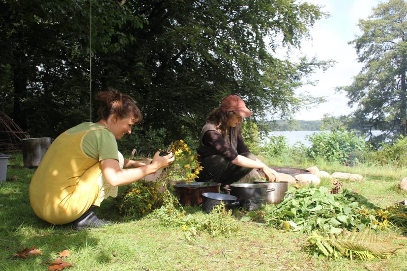 Billede fra PLANTEFARVE