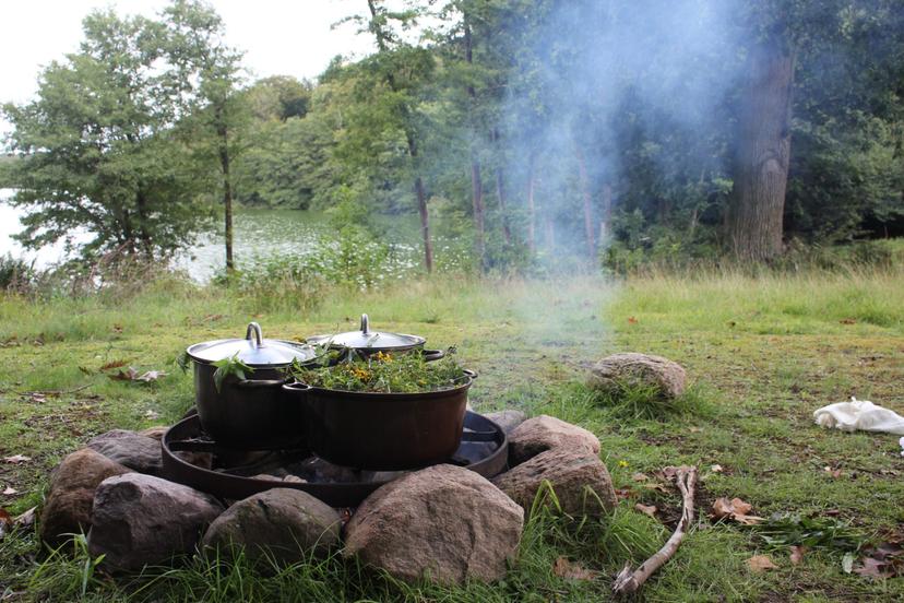 Billede fra PLANTEFARVE