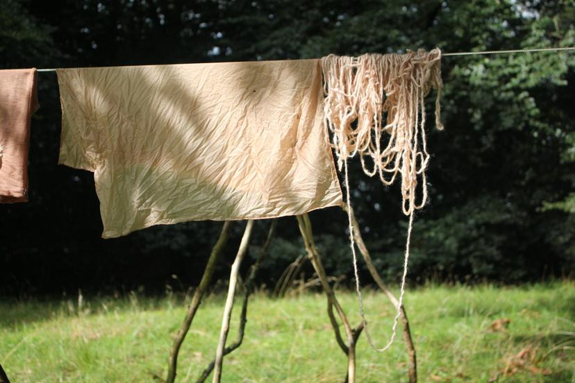 Billede fra PLANTEFARVE