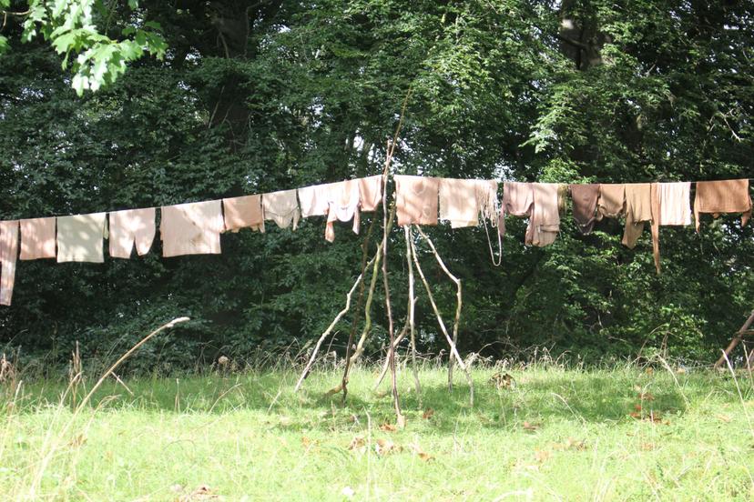 Billede fra PLANTEFARVE