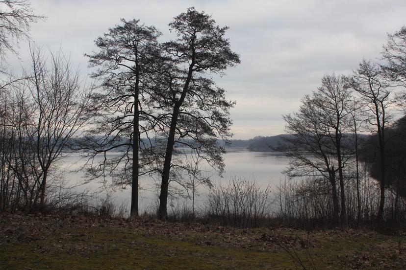 Billede fra FORÅRSJÆVNDØGN
