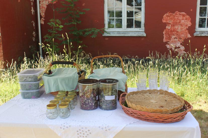 Billede fra SOMMER SOLHVERV
