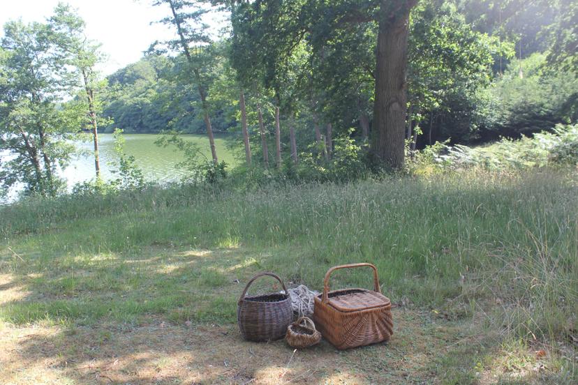 Billede fra SOMMER SOLHVERV