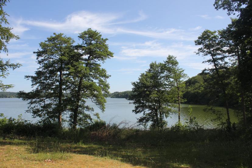 Billede fra SOMMER SOLHVERV