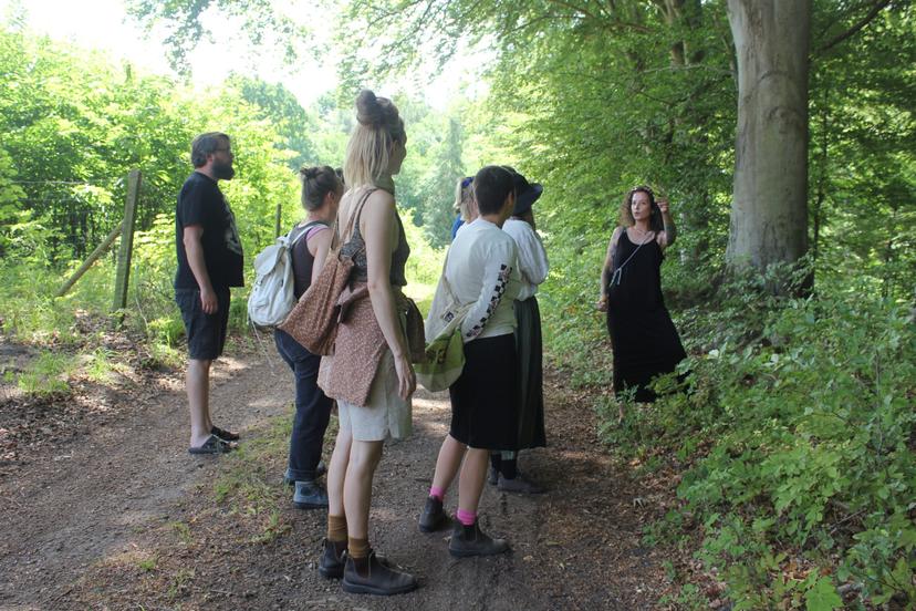 Billede fra SOMMER SOLHVERV