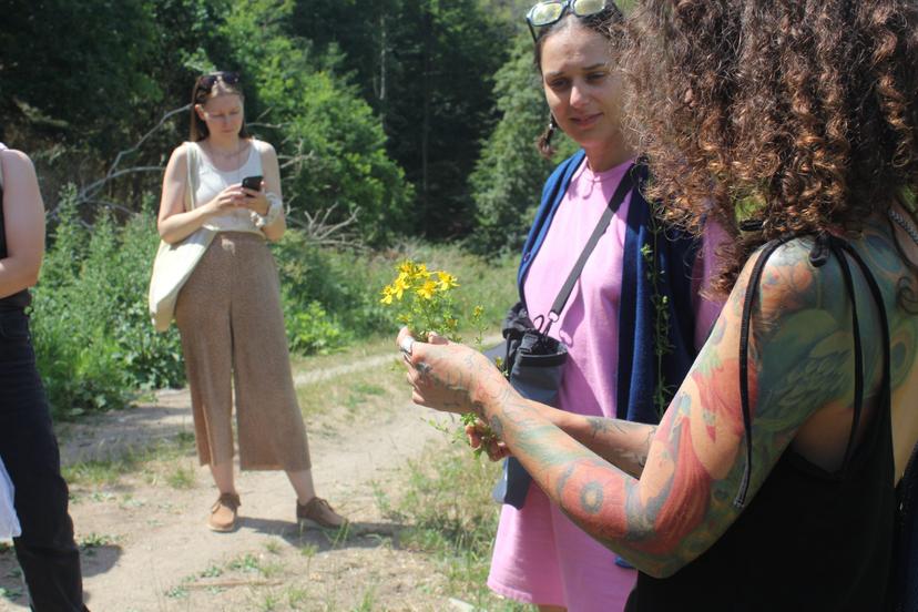 Billede fra SOMMER SOLHVERV