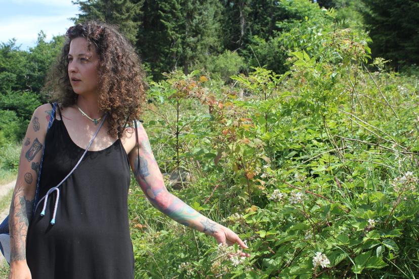 Billede fra SOMMER SOLHVERV