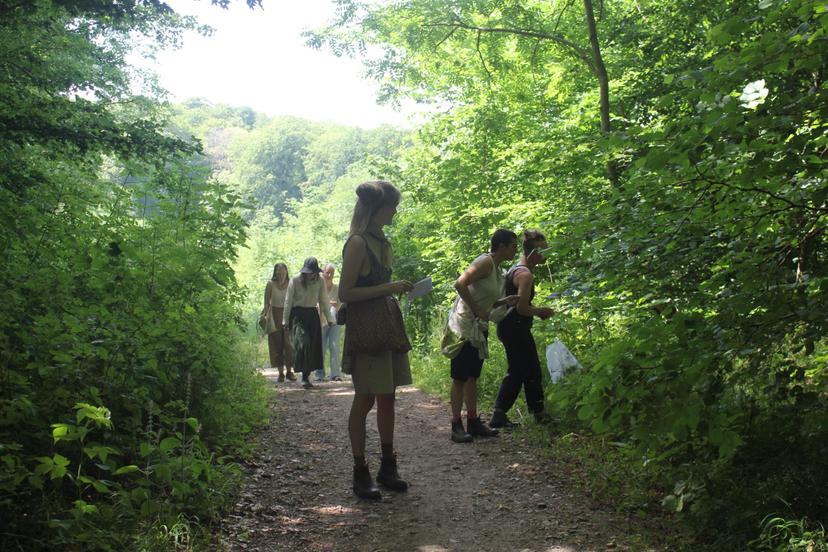 Billede fra SOMMER SOLHVERV