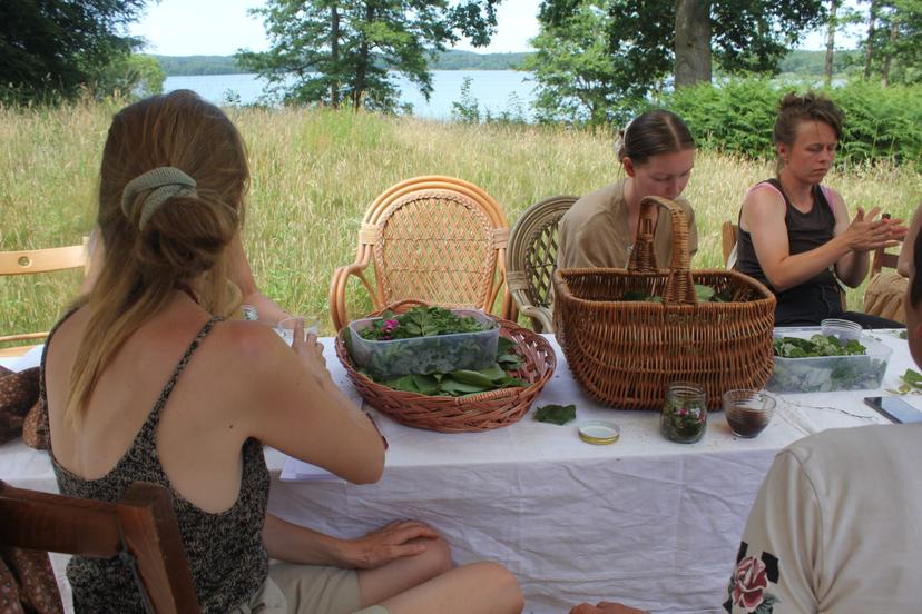 Billede fra SOMMER SOLHVERV