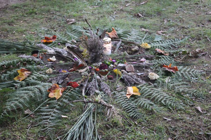 Billede fra EARTH WEAVERS GATHERING