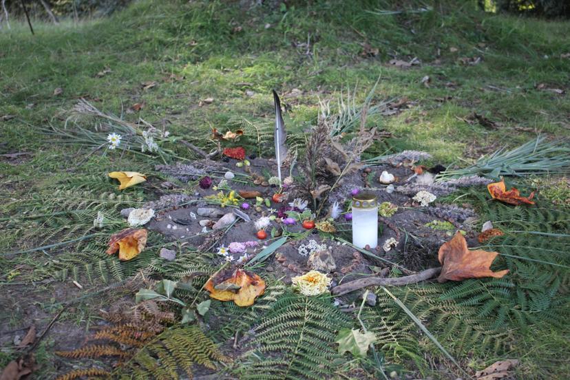 Billede fra EARTH WEAVERS GATHERING