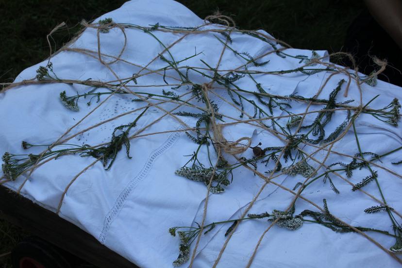 Billede fra EARTH WEAVERS GATHERING