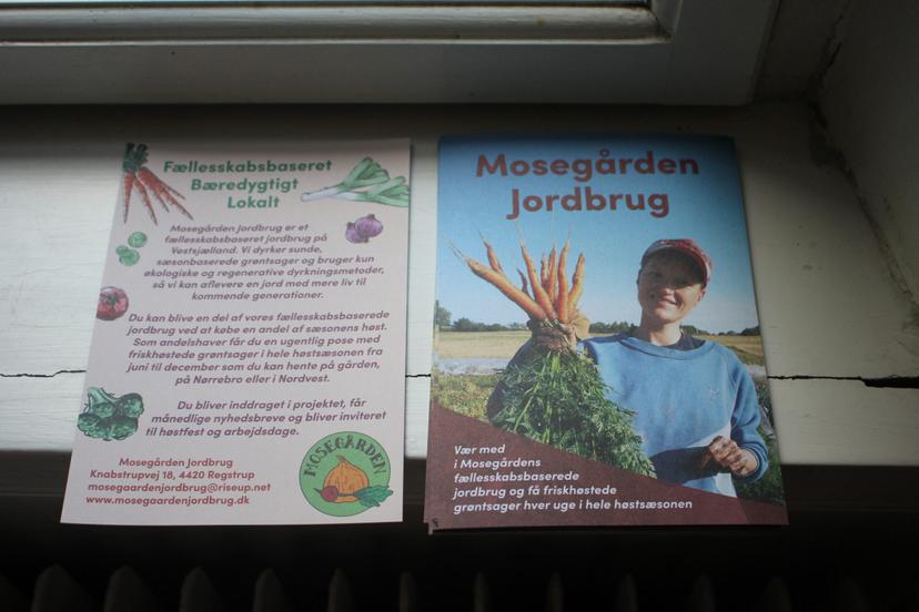 Billede fra EFTERÅRSJÆVNDØGN