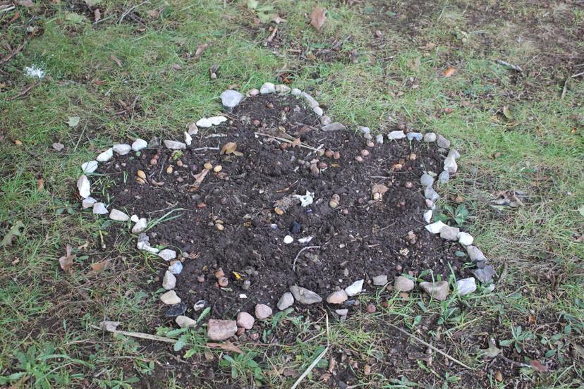 Billede fra EFTERÅRSJÆVNDØGN