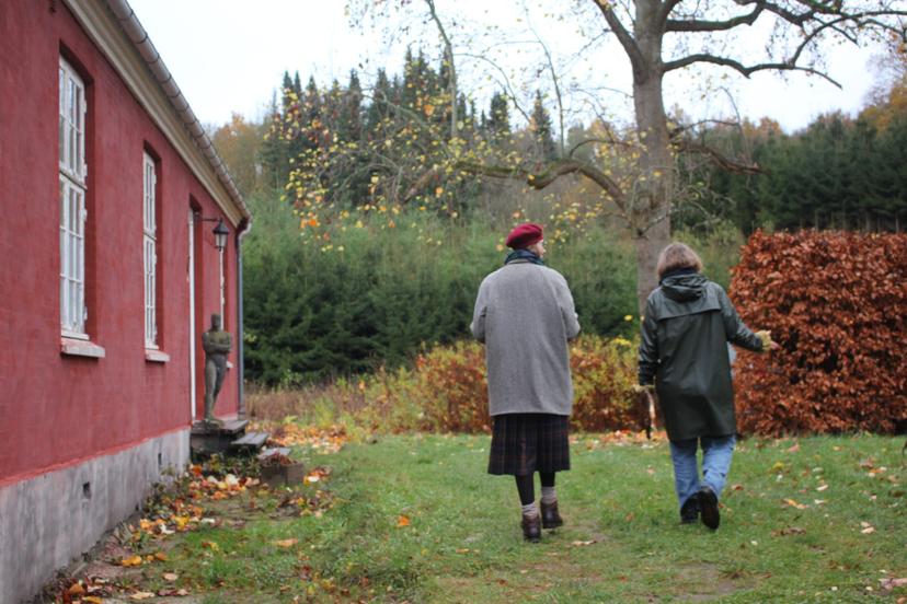 Billede fra VILD STRIK