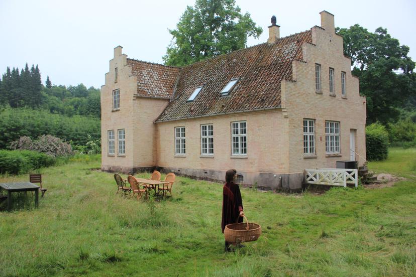 Billede fra SOMMER SOLHVERV