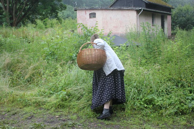 Billede fra SOMMER SOLHVERV
